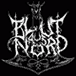 Blut Aus Nord T Shirts