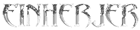 Einherjer Tshirts