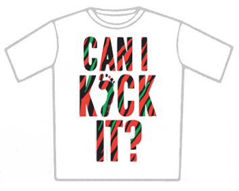 A Tribe called Quest T-Shirt - Can I Kick It