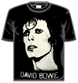 David Bowie Tshirt - Big Stardust