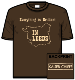 Kaiser Chiefs Tshirt - Everything Is...