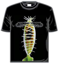 Kings Of Leon Tshirt - Venus Fly Trap