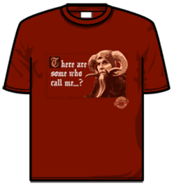 Monty Python Tshirt - Tim The Enchanter