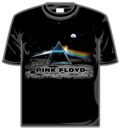 Pink Floyd Tshirt - Lander